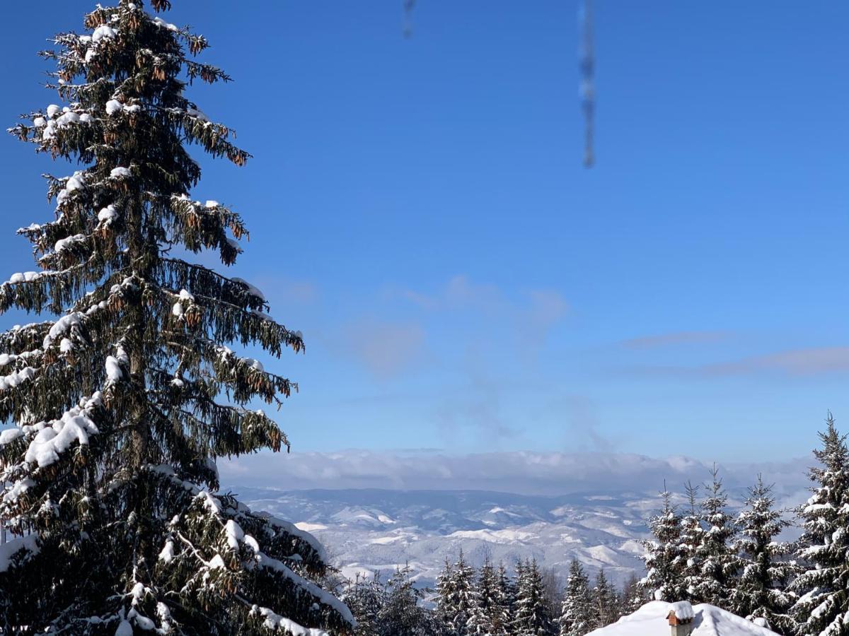 G&D Apartment Kopaonik Esterno foto